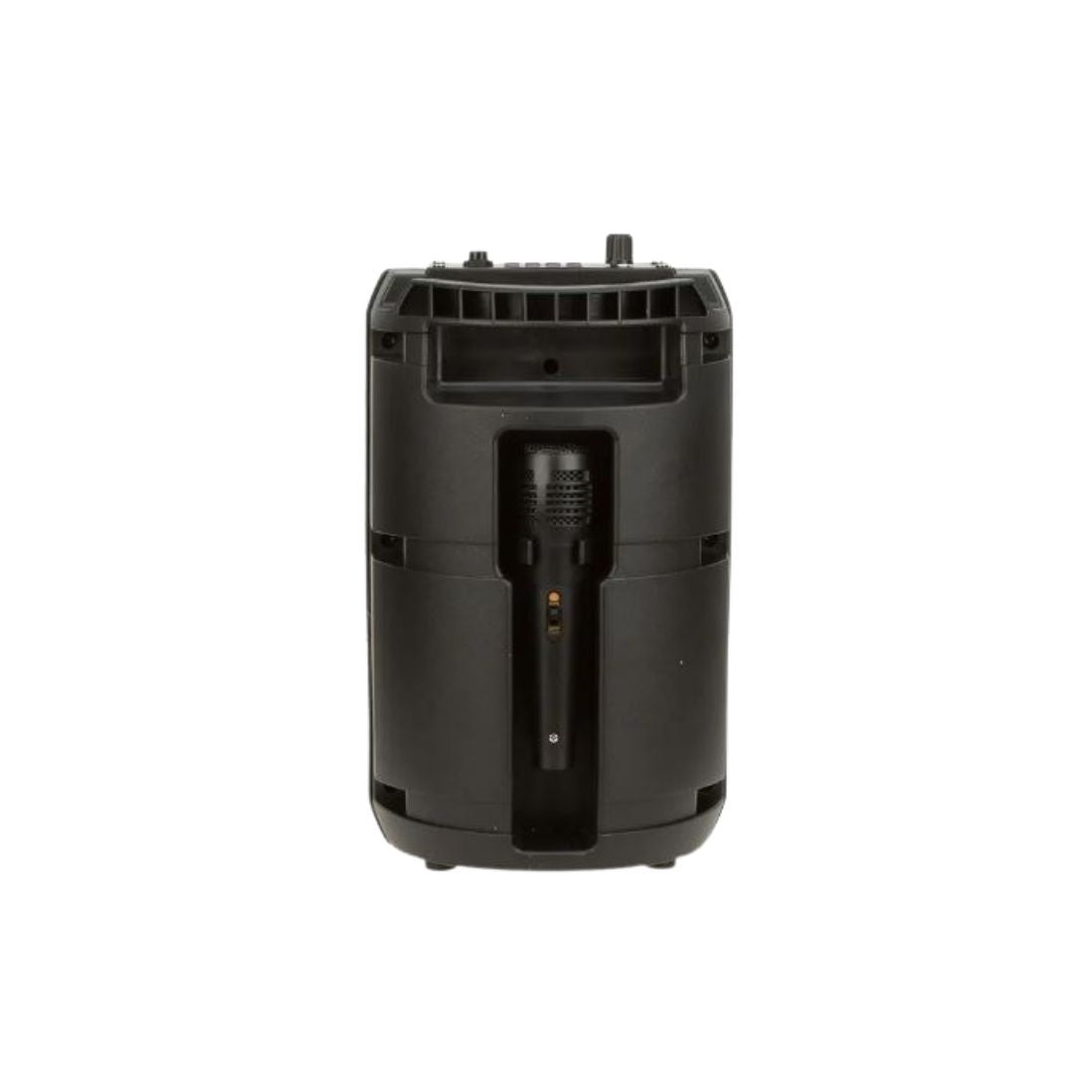 Small Portable 6.5 Inch Speaker with Mic