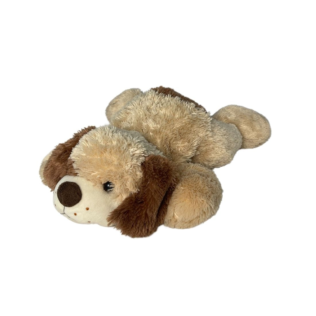 Large Puppy