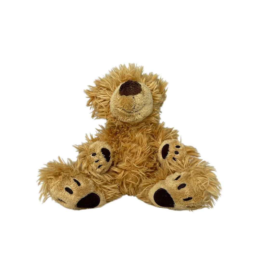 Little Grizzly Bear