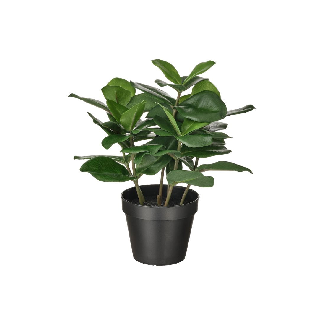 Artificial Fig Plant