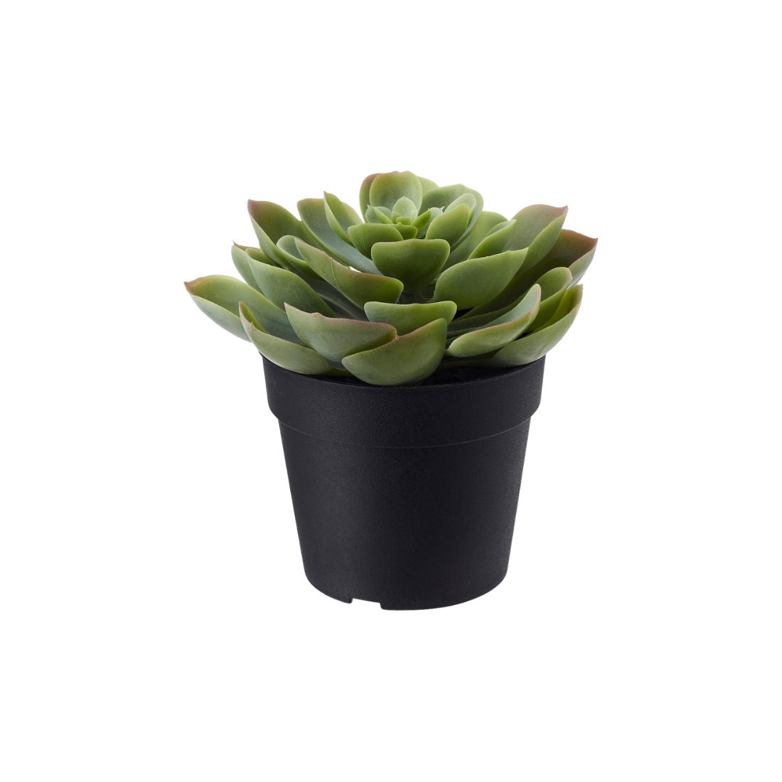 Artificial Succulent Plant