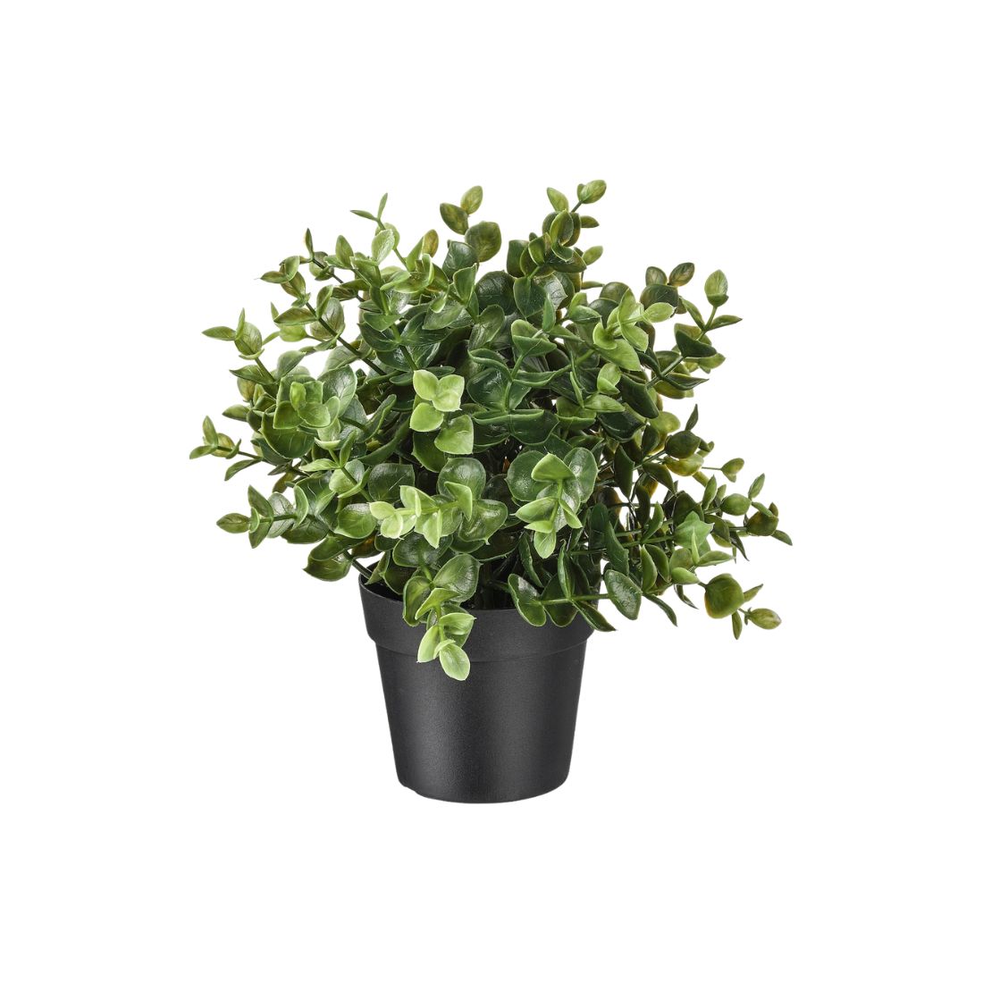 Artificial Oregano Plant