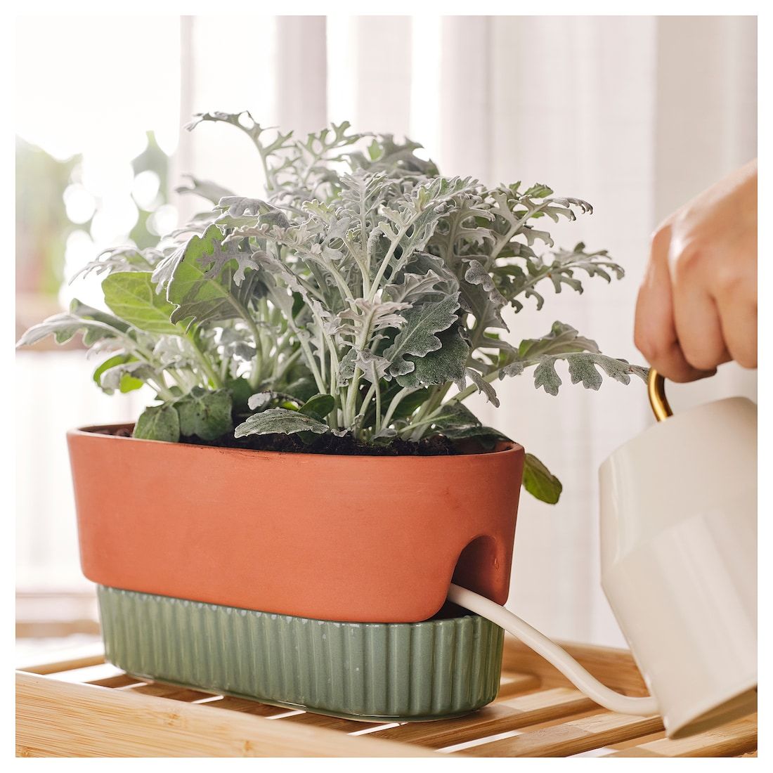 Self Watering Terracotta and Green Planter