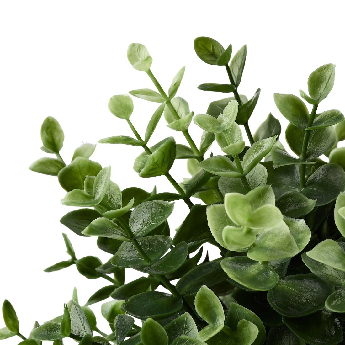 Artificial Oregano Plant