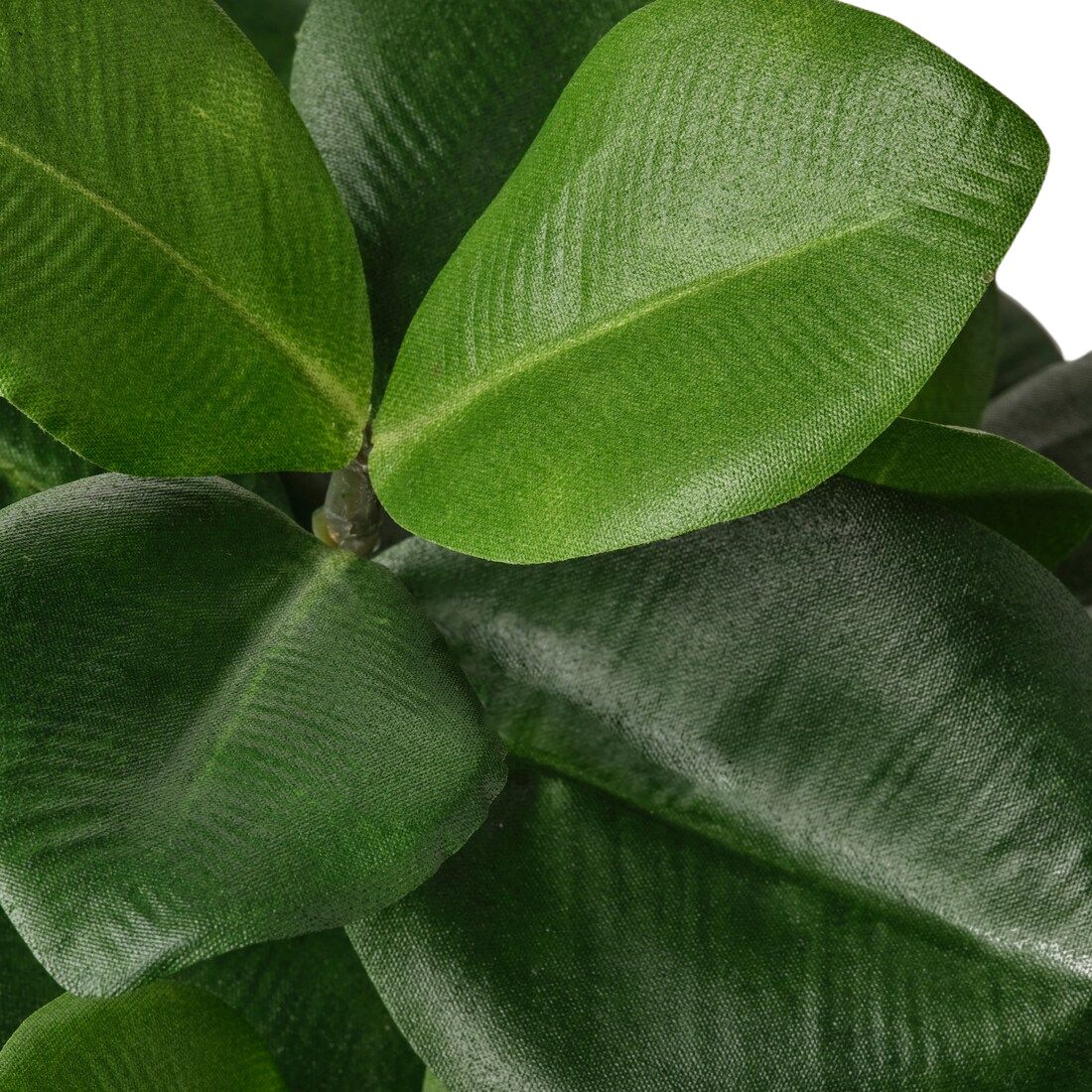 Artificial Fig Plant