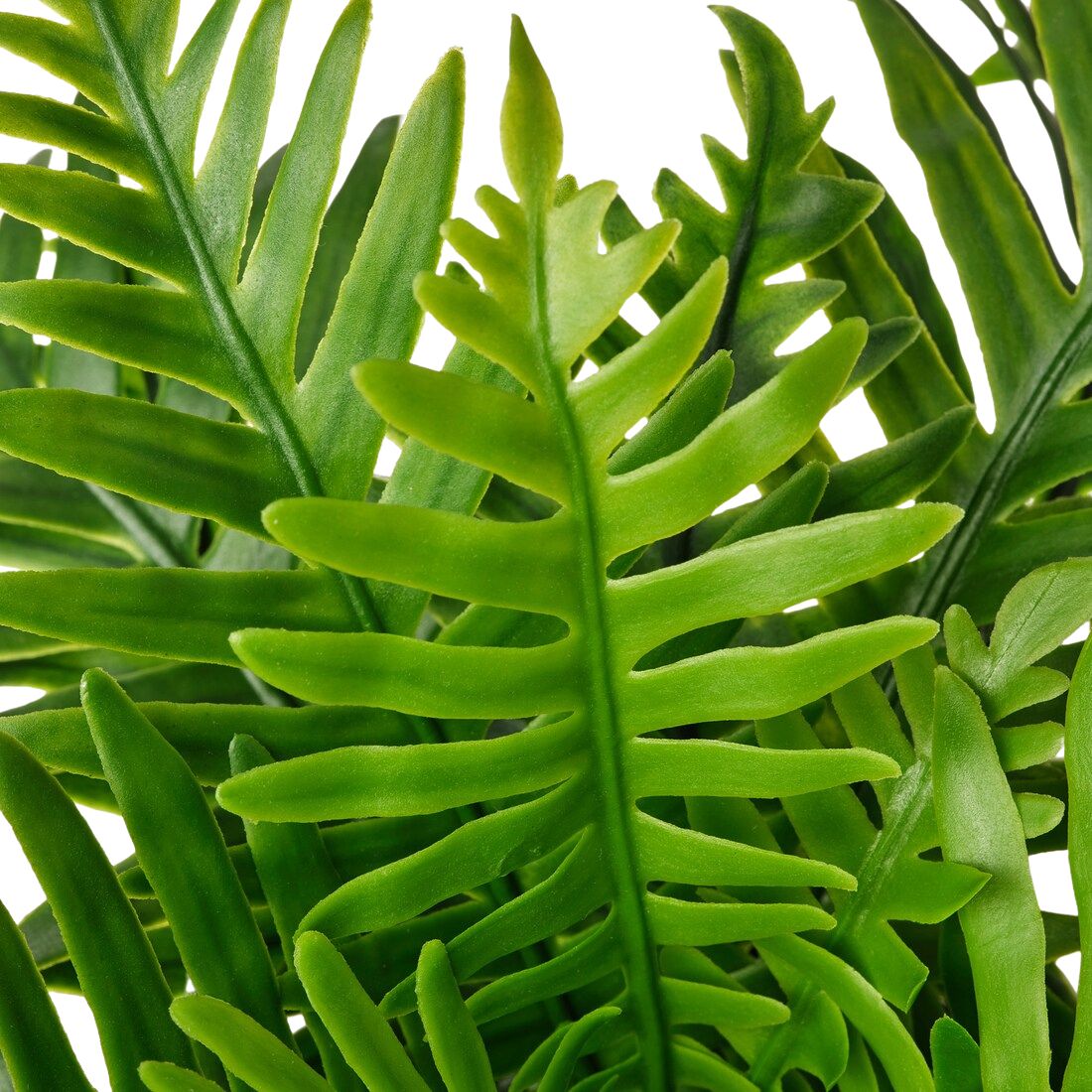 Artificial Fern Plant