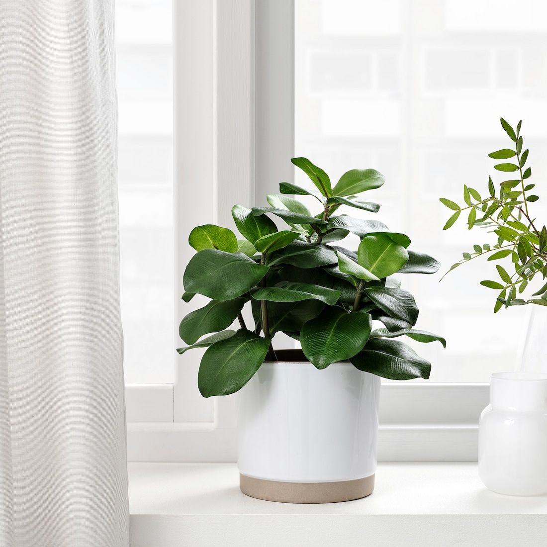 Artificial Fig Plant