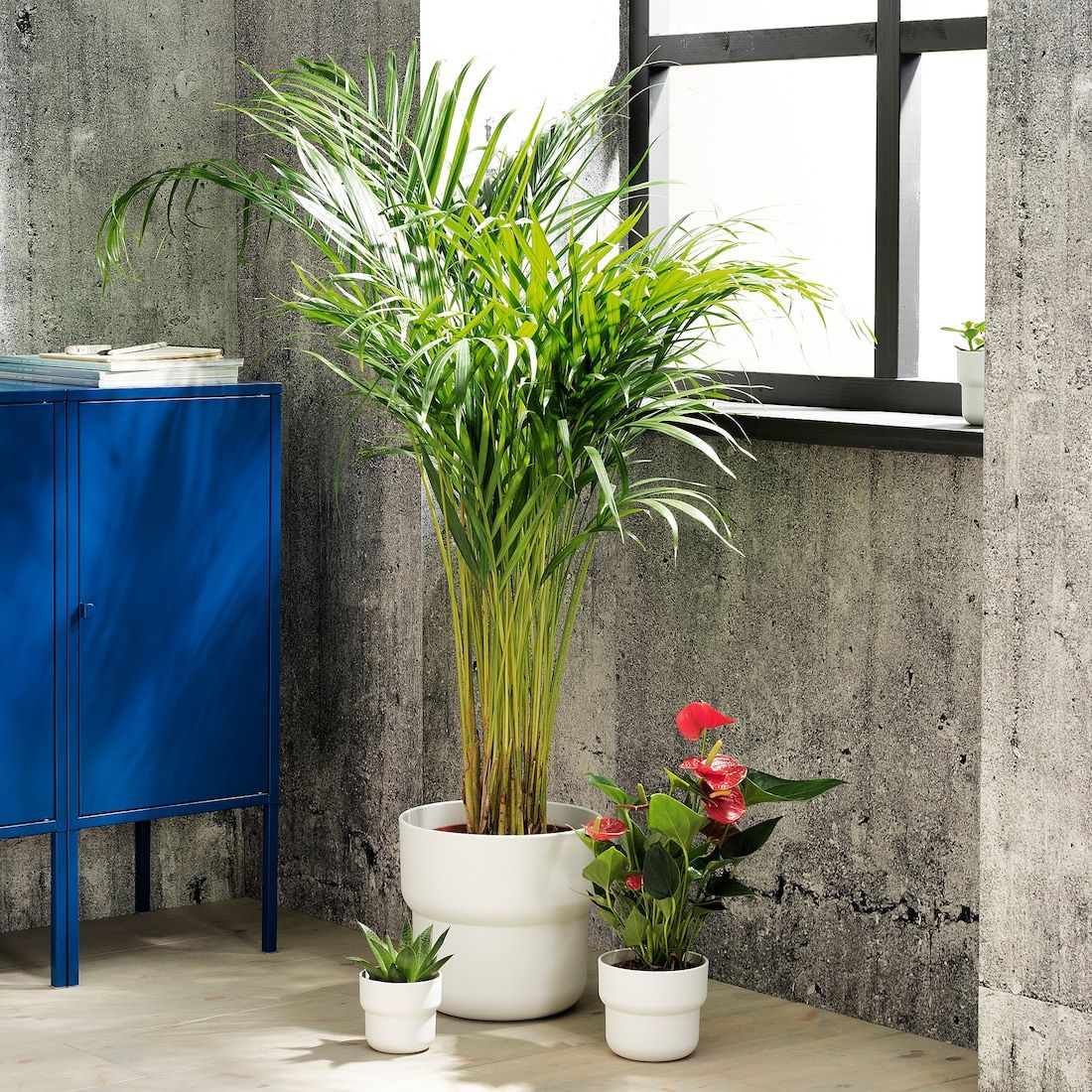 White Melamine Pot