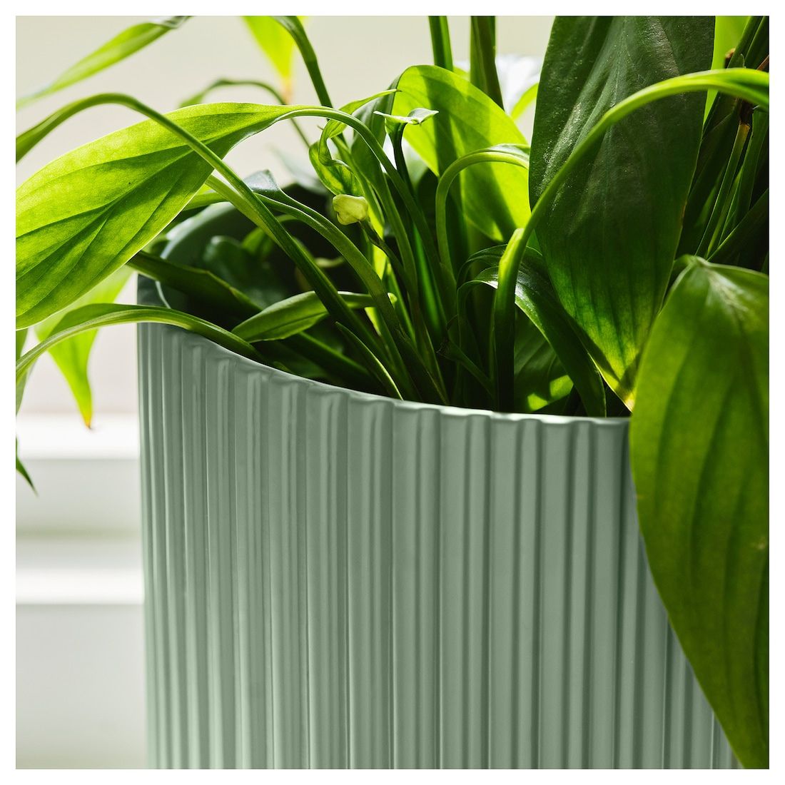 Green Ribbed Pot