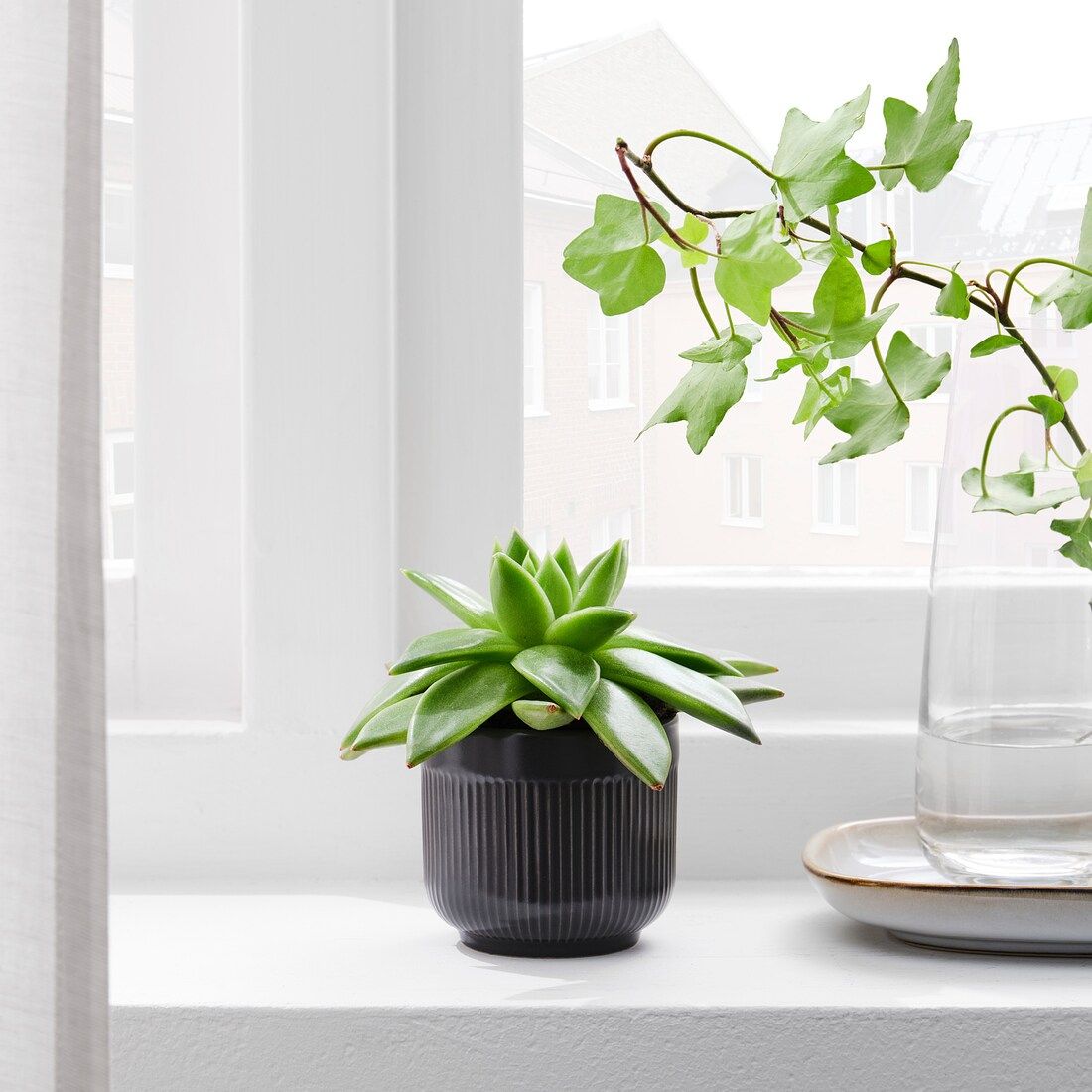 Little Black Ribbed Ceramic Pot