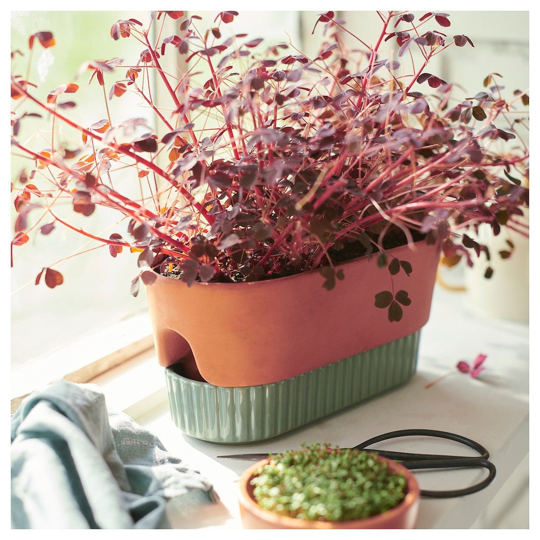 Self Watering Terracotta and Green Planter
