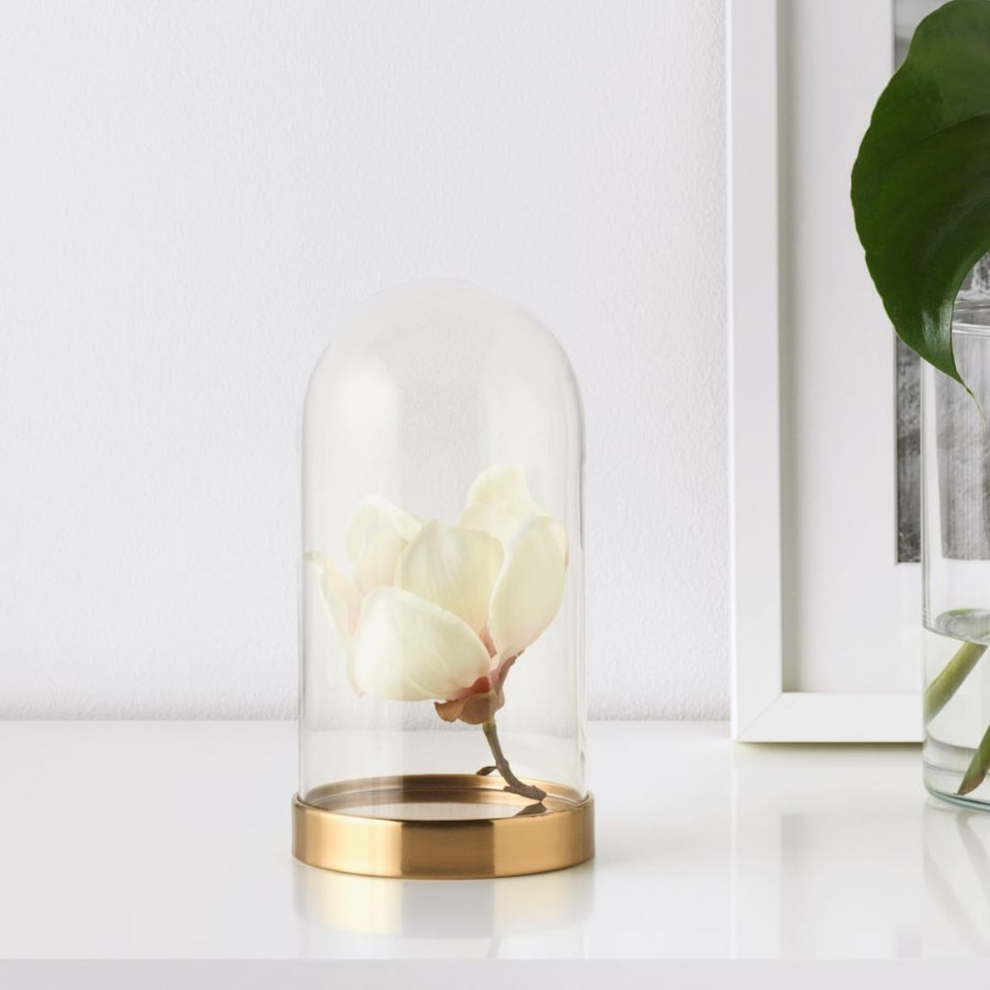 Glass Dome with Gold Base