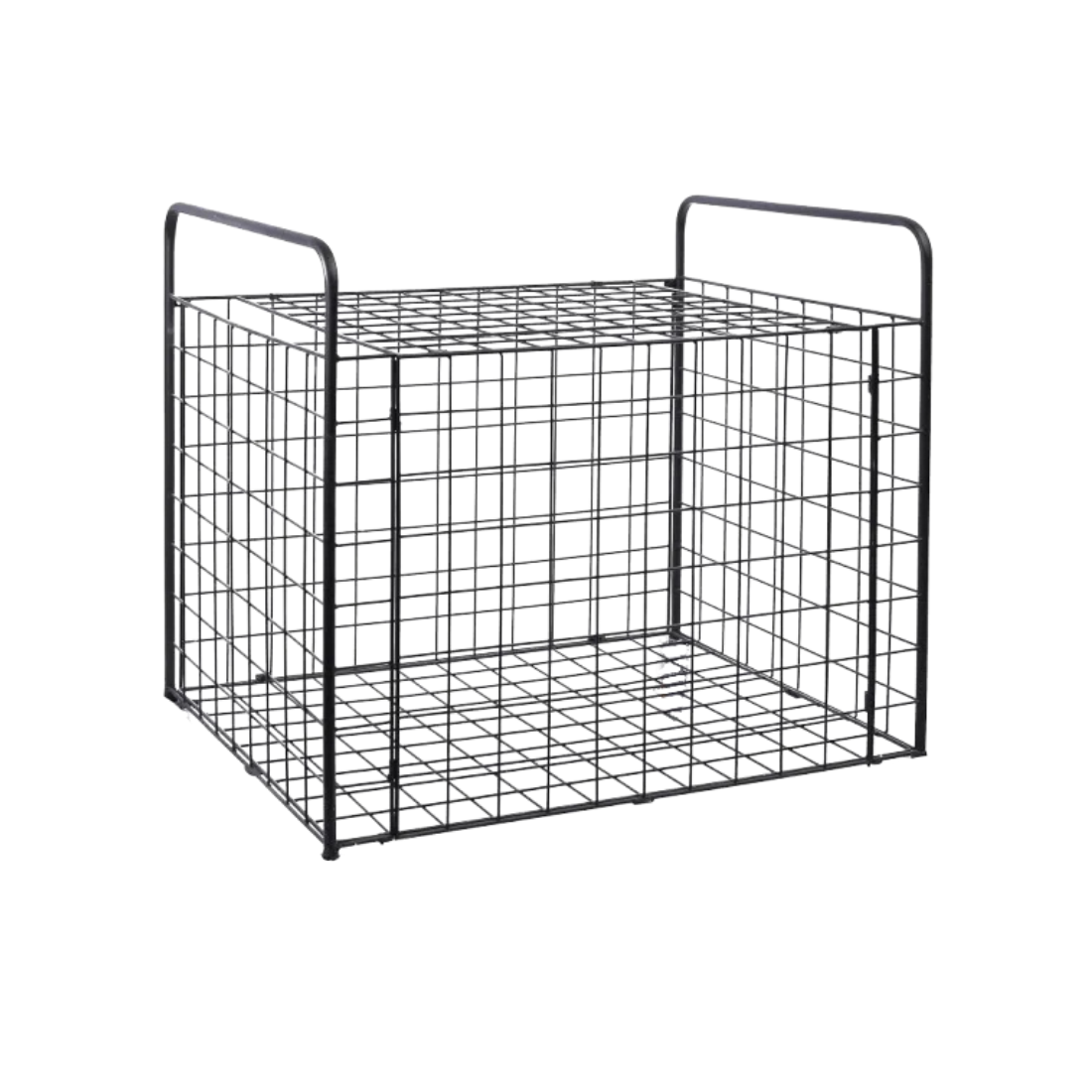 Basketball Cage