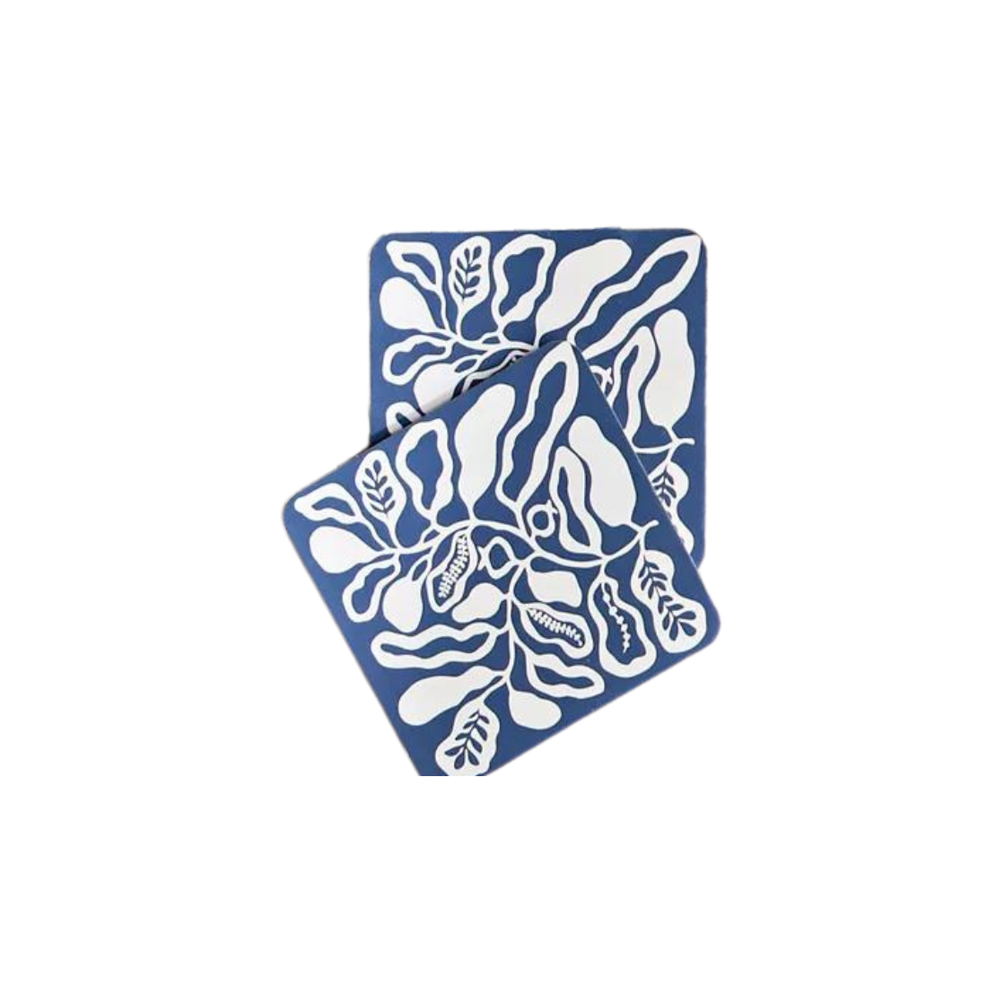 Set of 2 Blue Printed Coasters