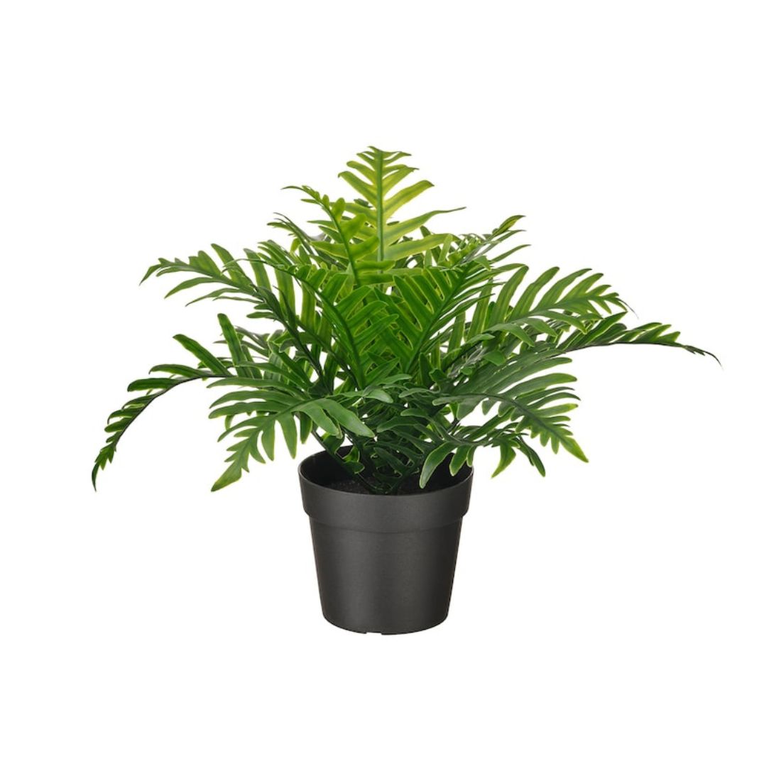 Artificial Fern Plant