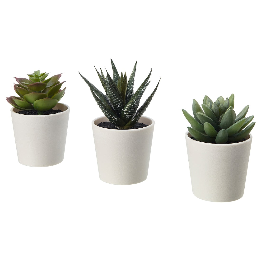 Artificial Mini Succulent Plant with White Pot (Fasciated Haworthia)