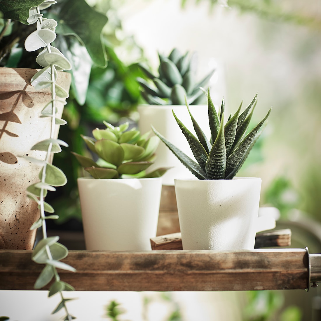 Artificial Mini Succulent Plant with White Pot (Fasciated Haworthia)