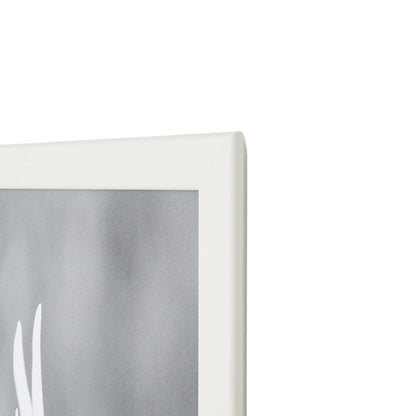 White Frame