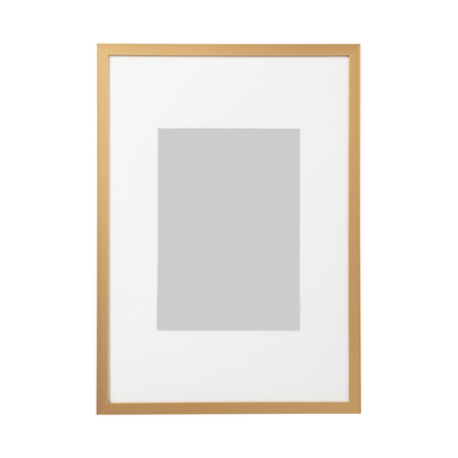Large Gold Frame