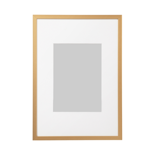 Large Gold Frame