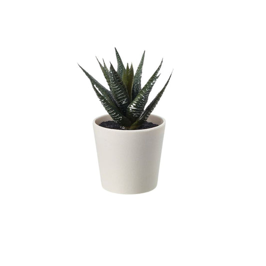 Artificial Mini Succulent Plant with White Pot (Fasciated Haworthia)