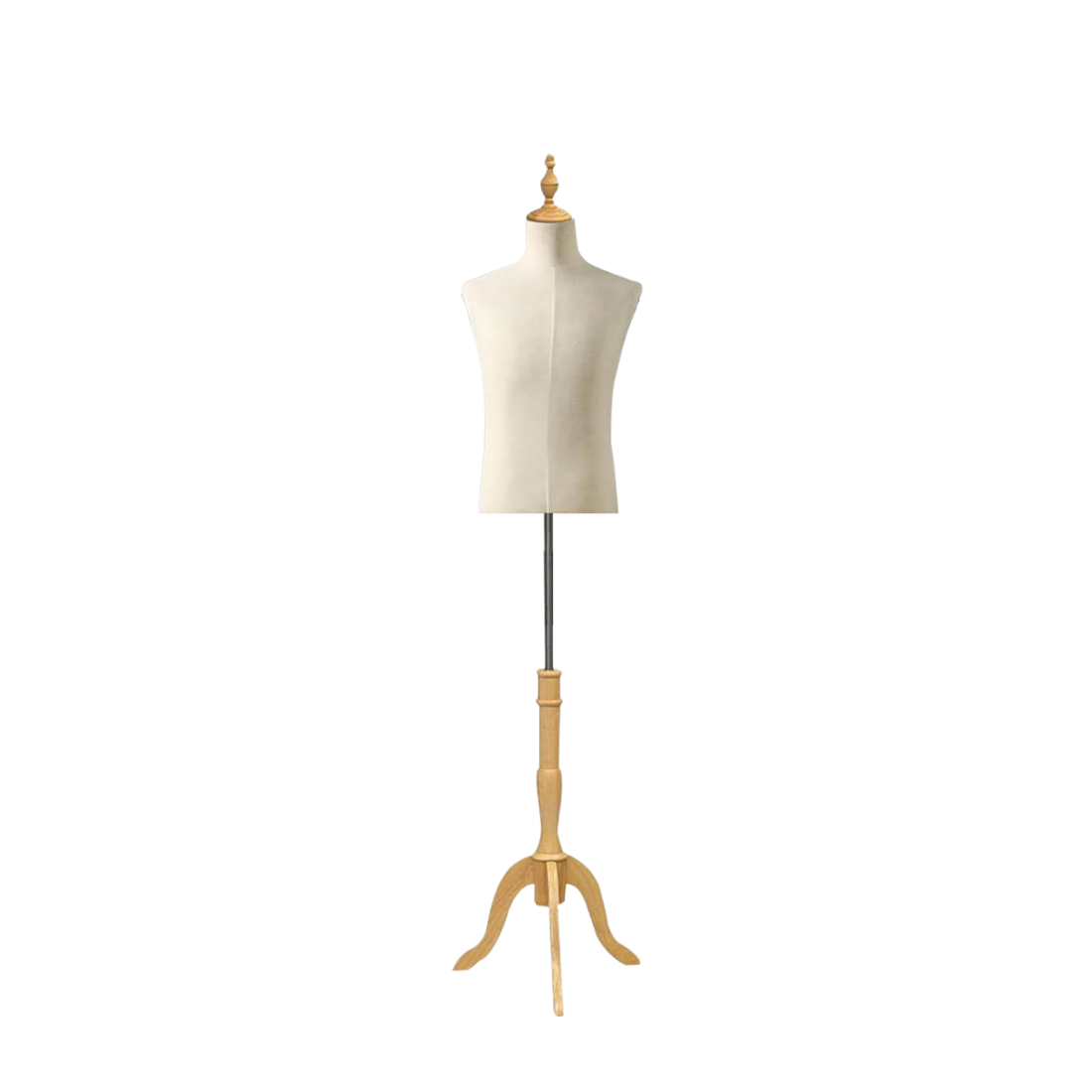 Male Adult Torso Mannequin