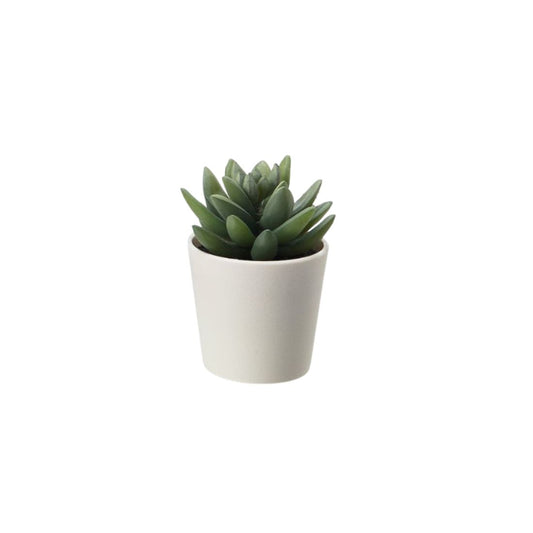 Artificial Mini Succulent Plant with White Pot (Pigmyweeds)