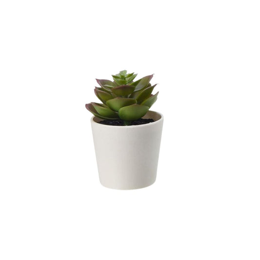 Artificial Mini Succulent Plant with White Pot (Echeveria Elegans)
