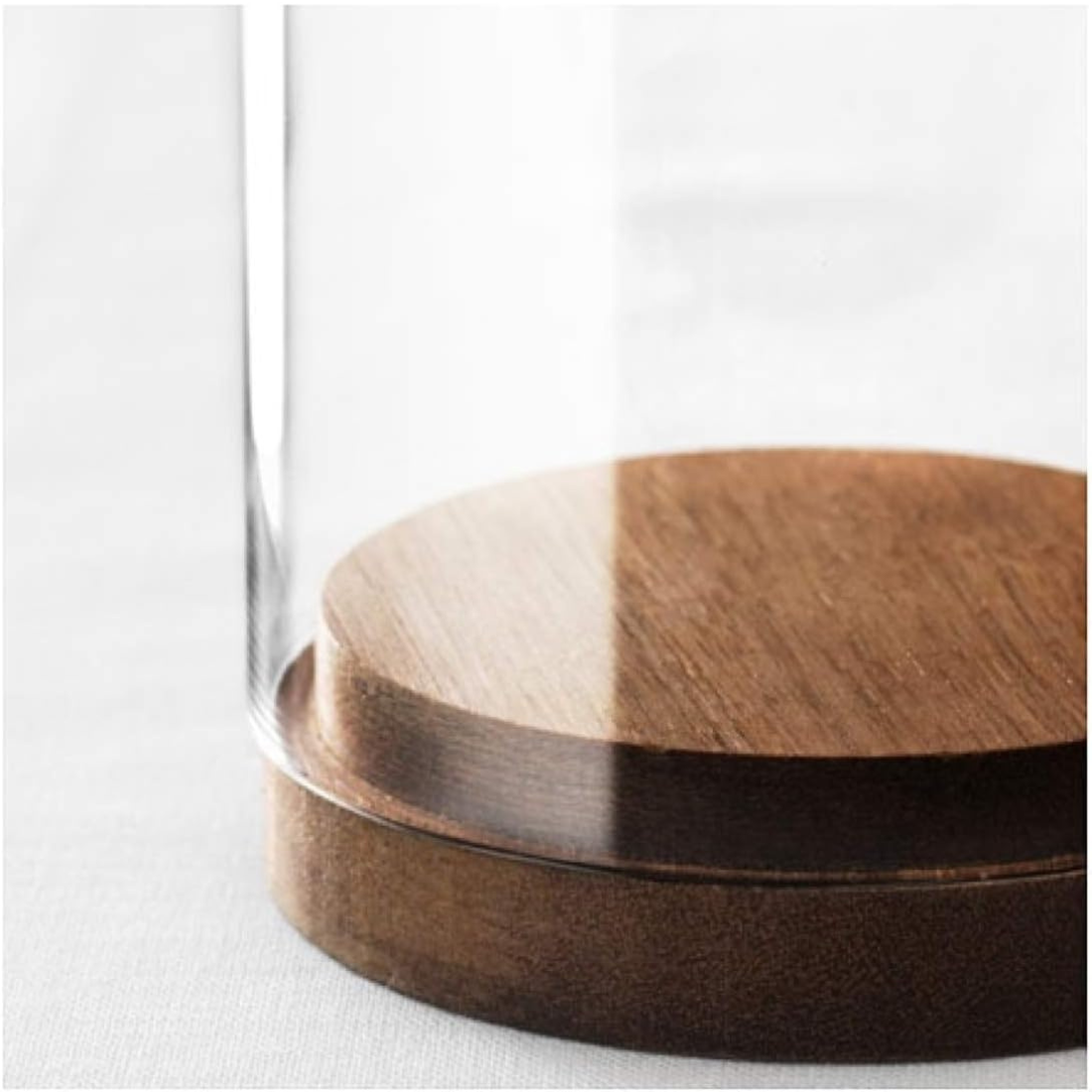 Glass Dome with Wooden Base