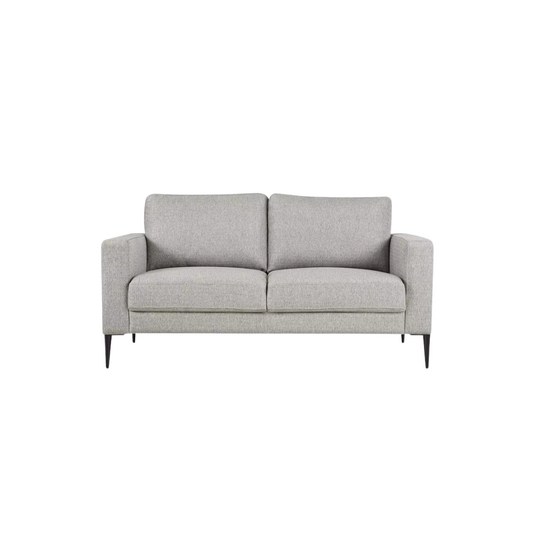 Light Grey Minimalistic 2 Seater Couch
