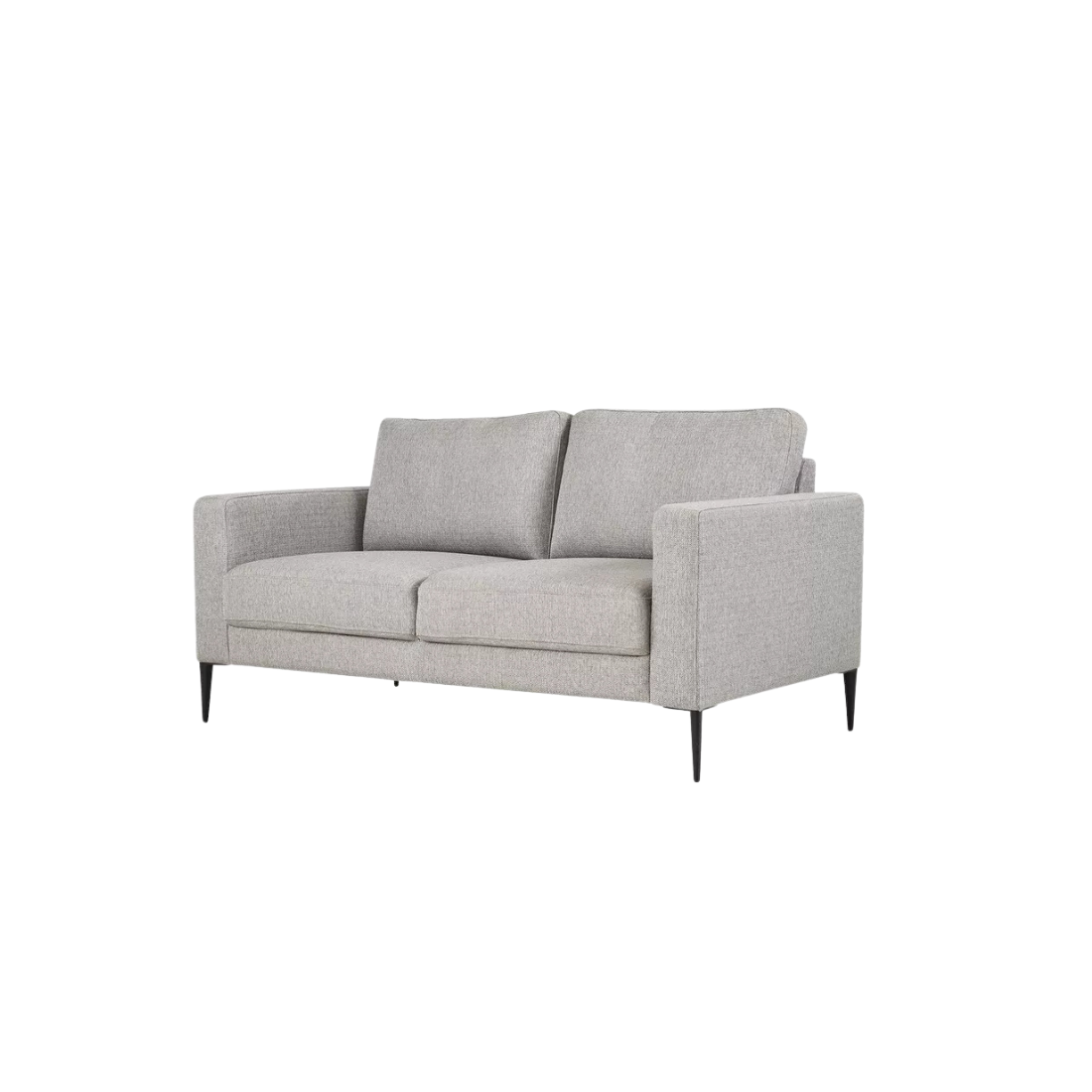 Light Grey Minimalistic 2 Seater Couch