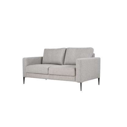 Light Grey Minimalistic 2 Seater Couch