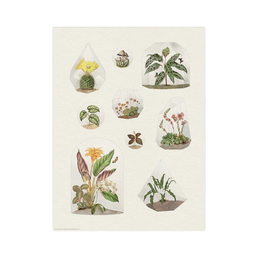 Green Leaves Abstract Poster