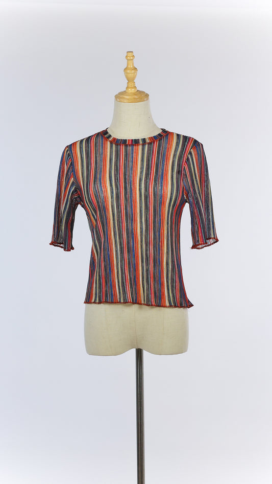 Multicolored Vertically Striped Knit T-shirt