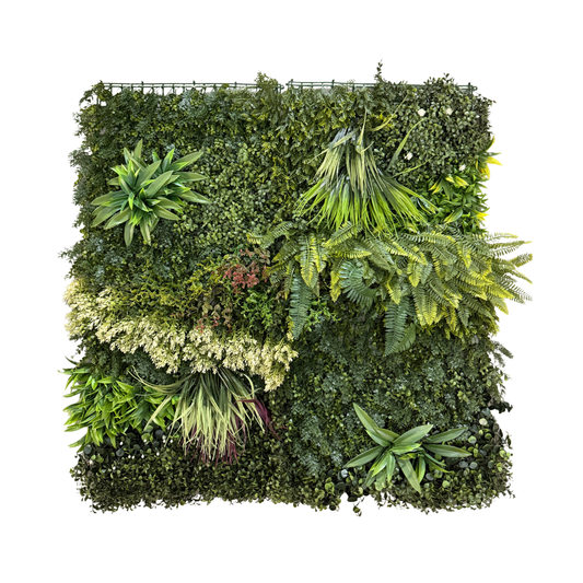 Wall Mounted Plants