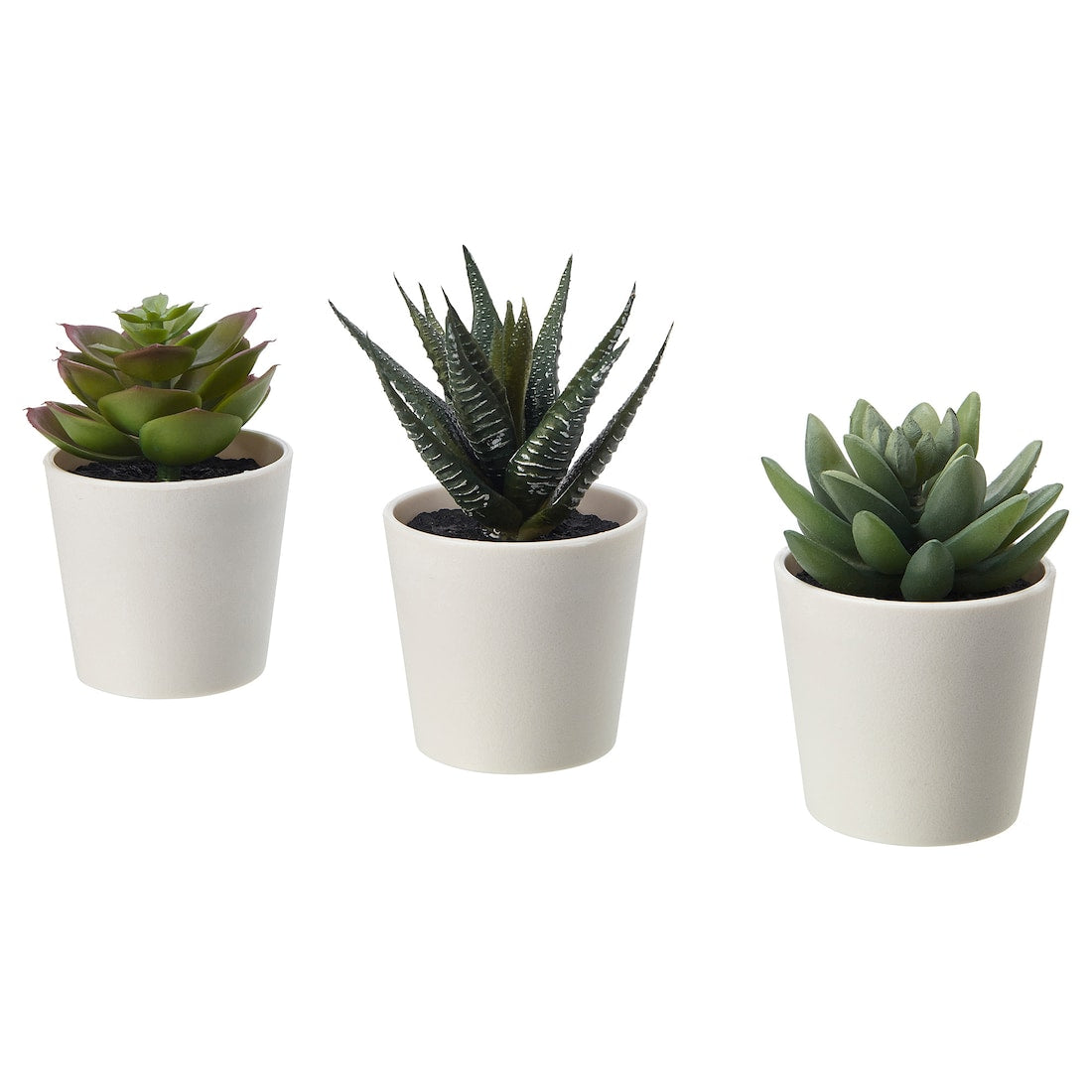 Artificial Mini Succulent Plant with White Pot (Pigmyweeds)